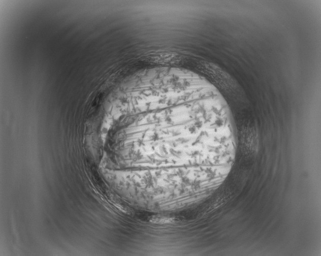 X0000082730602200702161909