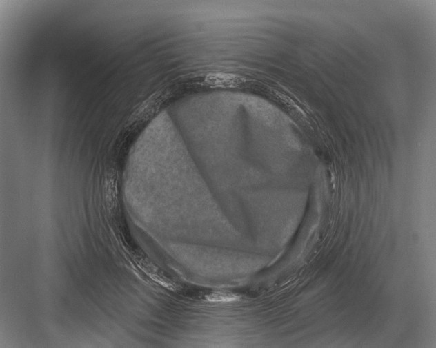 X0000082730603200702161909