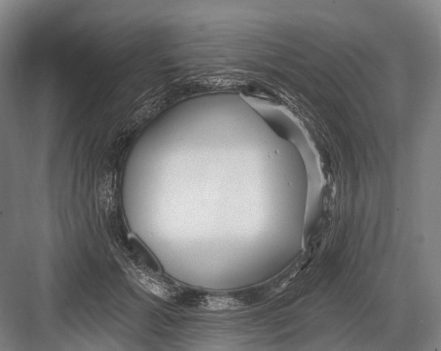 X0000082730605200702161909