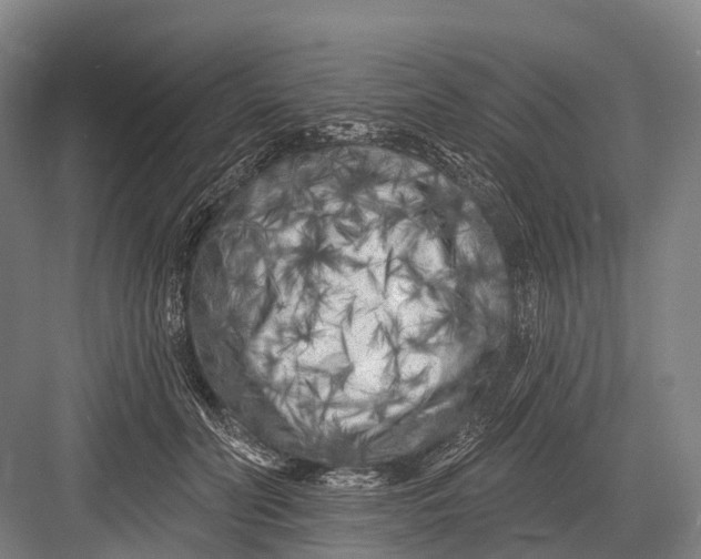 X0000082730606200702161909