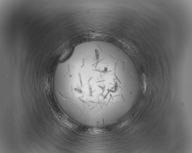 X0000082730607200702161909