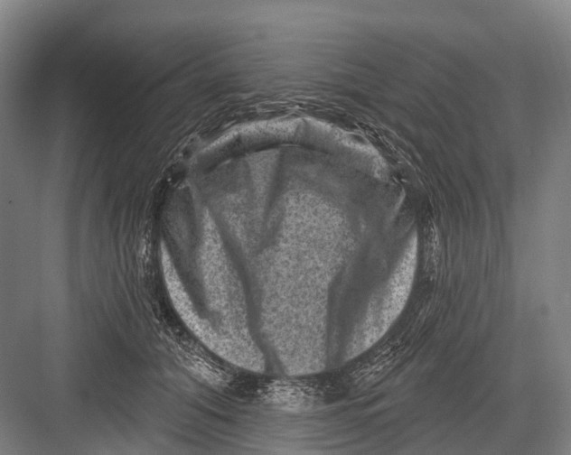 X0000082730608200702161909