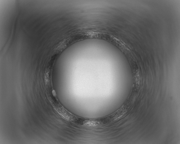 X0000082730611200702161909