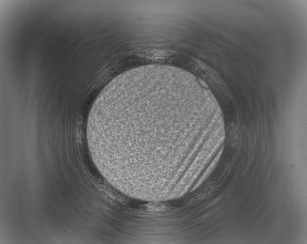 X0000082730612200702161909