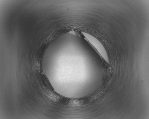 X0000082730613200702161909