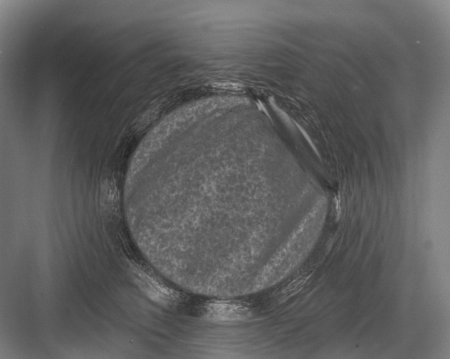 X0000082730614200702161909