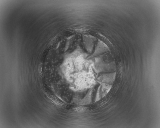 X0000082730615200702161909