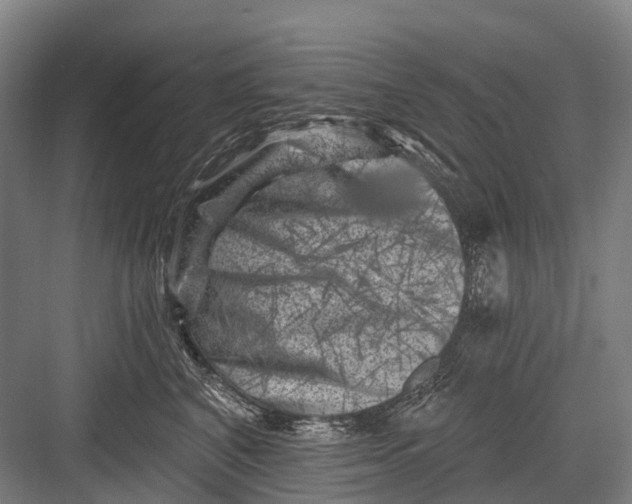 X0000082730616200702161909