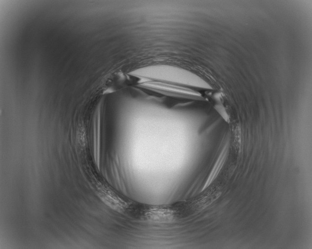 X0000082730617200702161909