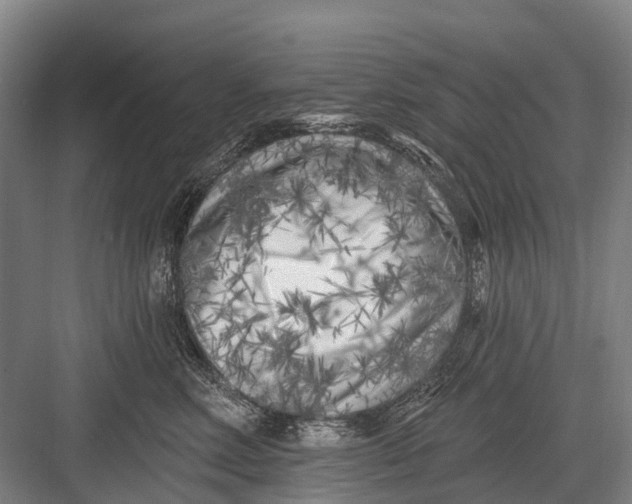 X0000082730618200702161909