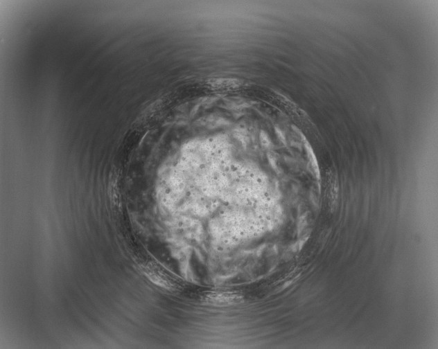 X0000082730619200702161909