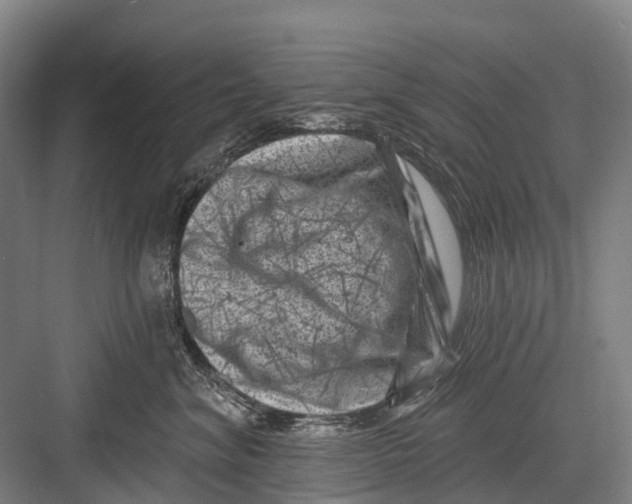 X0000082730620200702161909