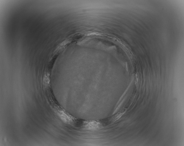 X0000082730621200702161909