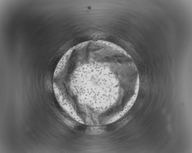 X0000082730622200702161909