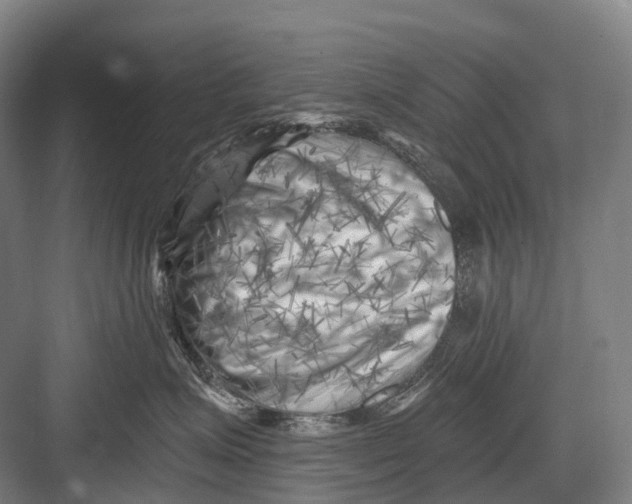 X0000082730623200702161909