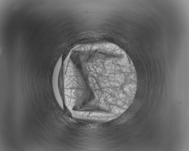 X0000082730624200702161909