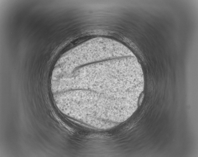 X0000082730625200702161908