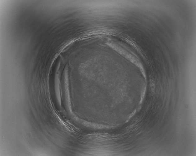 X0000082730626200702161908