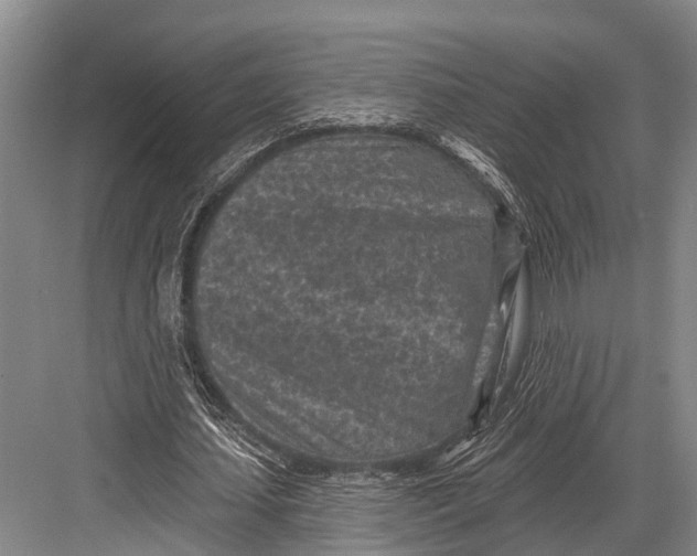 X0000082730627200702161908