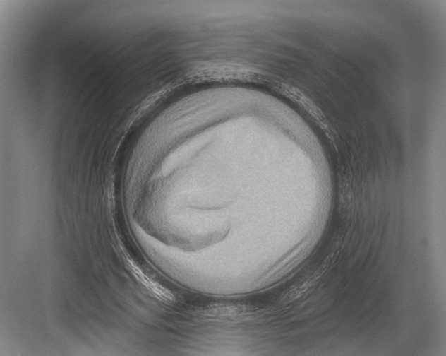 X0000082730629200702161908