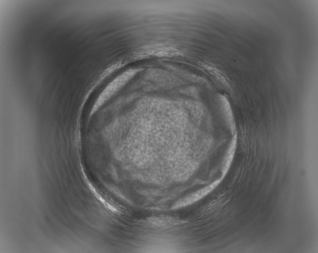 X0000082730630200702161908