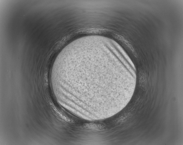 X0000082730633200702161908