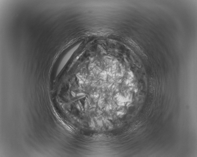 X0000082730634200702161908