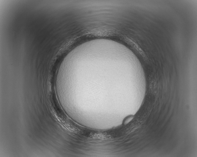 X0000082730635200702161908