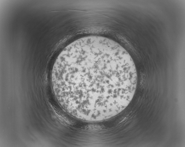 X0000082730636200702161908