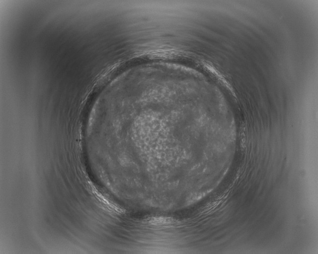 X0000082730637200702161908