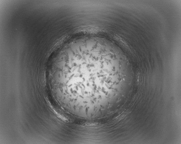 X0000082730638200702161908