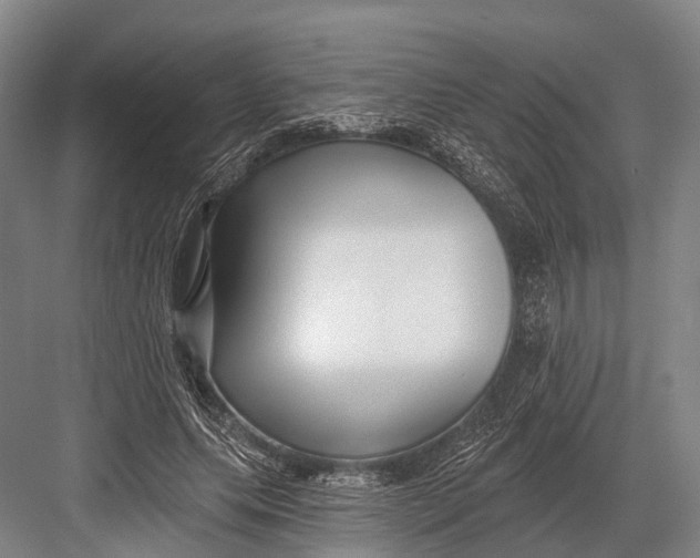 X0000082730639200702161908