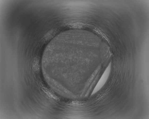 X0000082730641200702161908