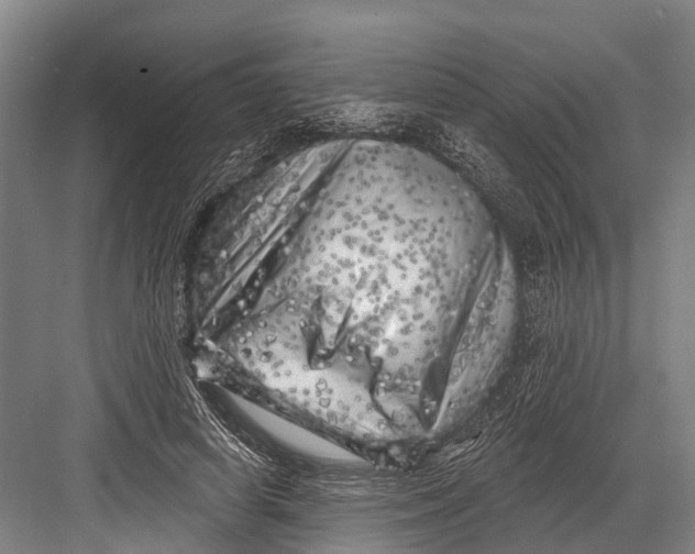 X0000082730642200702161908