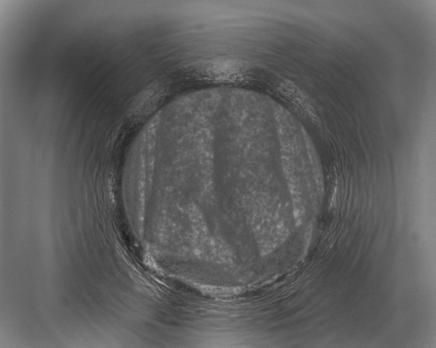 X0000082730643200702161908