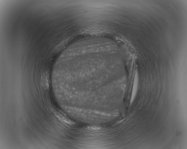 X0000082730644200702161908