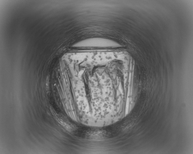 X0000082730646200702161908