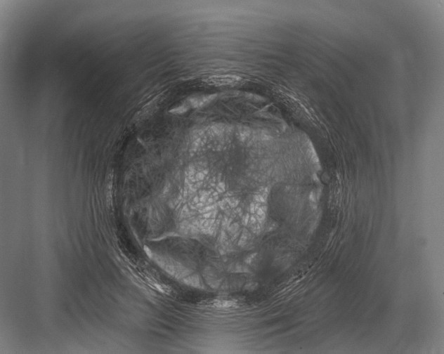 X0000082730647200702161908