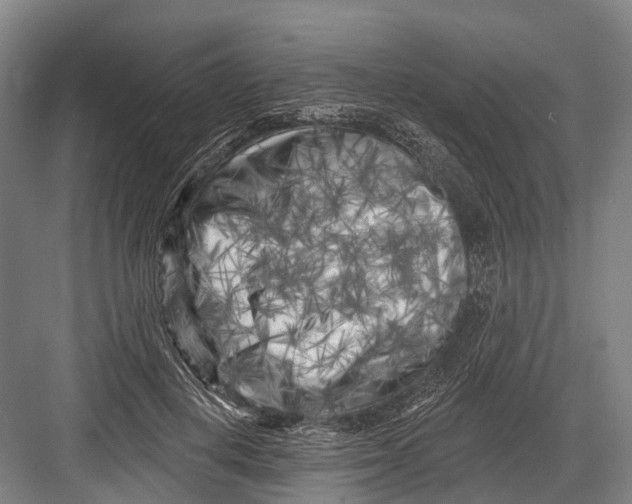 X0000082730648200702161908