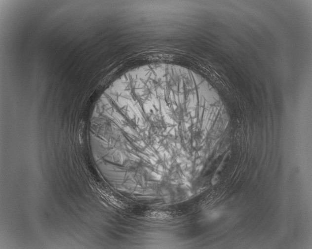 X0000082730649200702161908