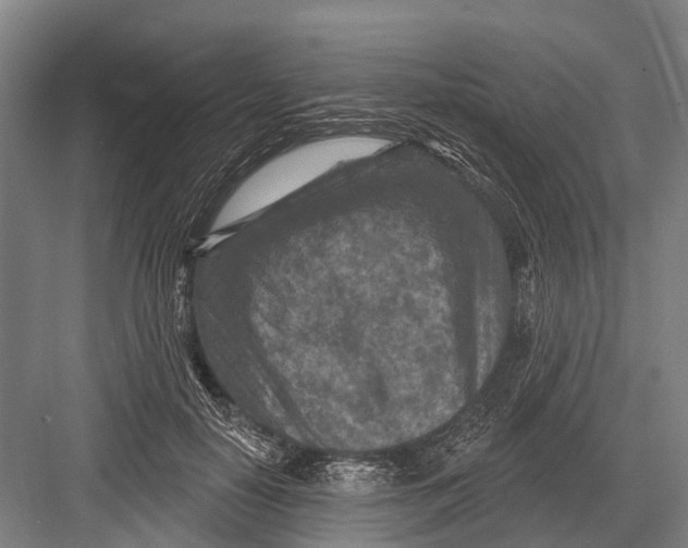 X0000082730650200702161908