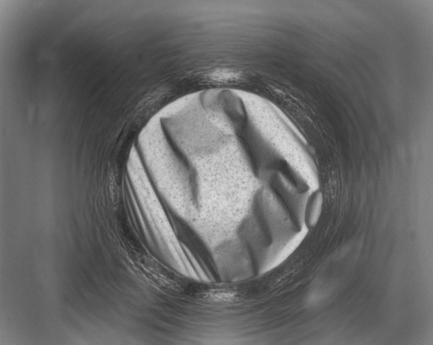 X0000082730651200702161908