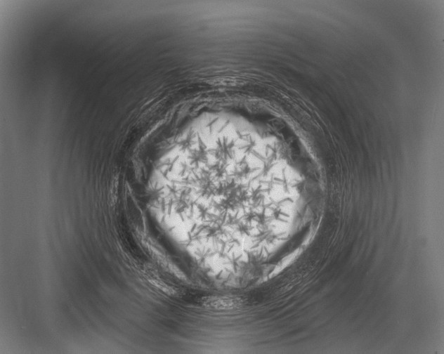 X0000082730652200702161908