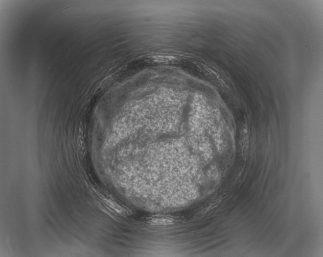 X0000082730653200702161908