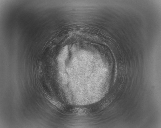 X0000082730654200702161908