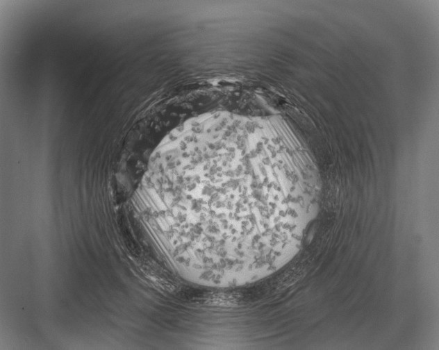 X0000082730656200702161908