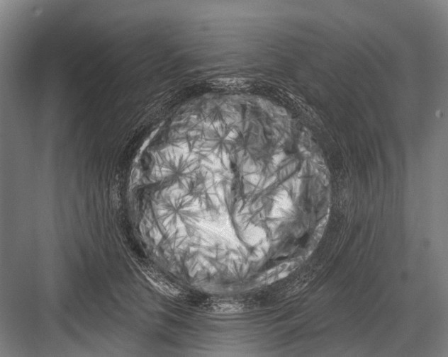 X0000082730658200702161908