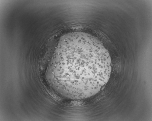 X0000082730660200702161908