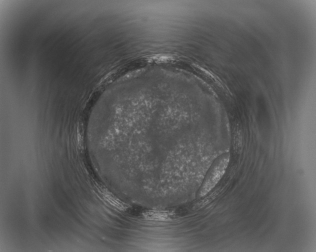 X0000082730661200702161908