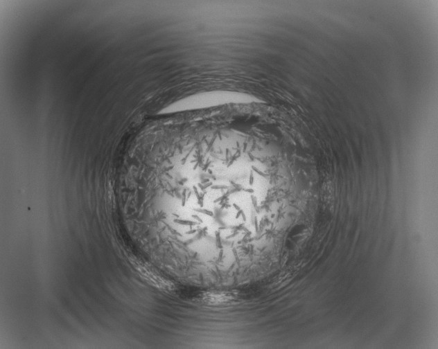 X0000082730662200702161908